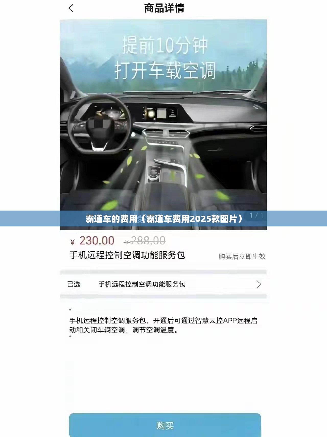 霸道车的费用(霸道车费用2025款图片) 霸道车的费用(霸道车费用2025款图片)