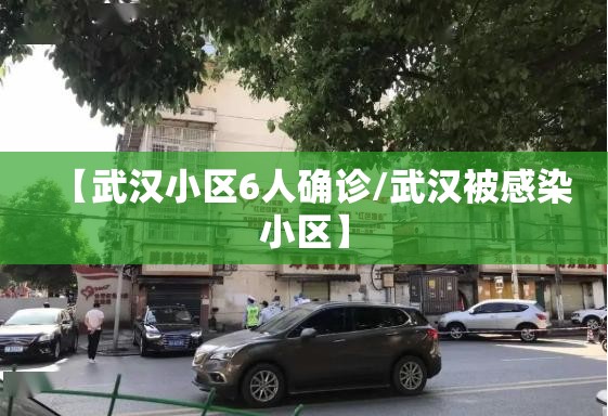 【武汉小区6人确诊/武汉被感染小区】 【武汉小区6人确诊/武汉被感染小区】