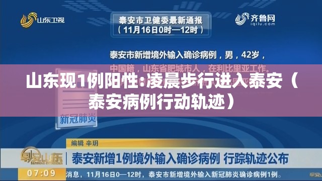 山东现1例阳性:凌晨步行进入泰安(泰安病例行动轨迹) 山东现1例阳性:凌晨步行进入泰安(泰安病例行动轨迹)