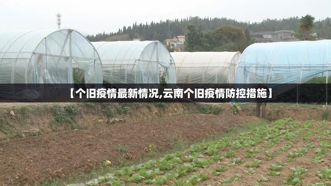 【个旧疫情最新情况,云南个旧疫情防控措施】 【个旧疫情最新情况,云南个旧疫情防控措施】