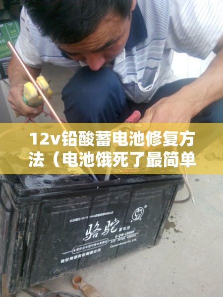 12v铅酸蓄电池修复方法（电池饿死了最简单激活）