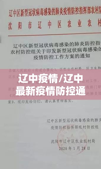 辽中疫情/辽中最新疫情防控通知 辽中疫情/辽中最新疫情防控通知