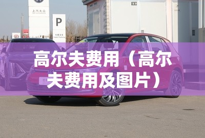 高尔夫费用(高尔夫费用及图片) 高尔夫费用(高尔夫费用及图片)