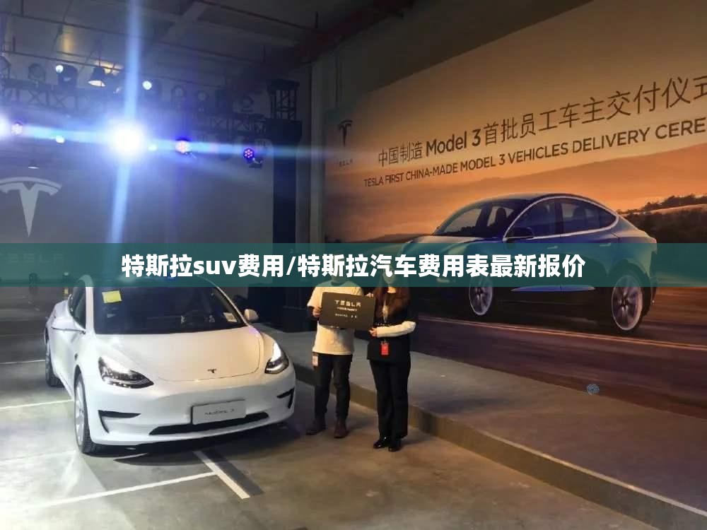 特斯拉suv费用/特斯拉汽车费用表最新报价 特斯拉suv费用/特斯拉汽车费用表最新报价
