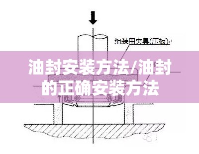 油封安装方法/油封的正确安装方法 油封安装方法/油封的正确安装方法