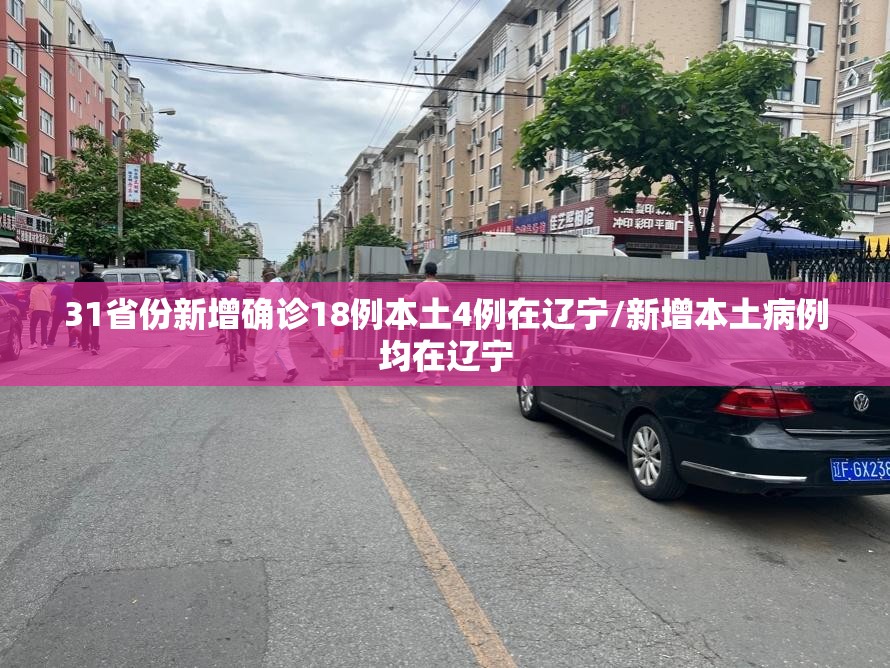 31省份新增确诊18例本土4例在辽宁/新增本土病例均在辽宁