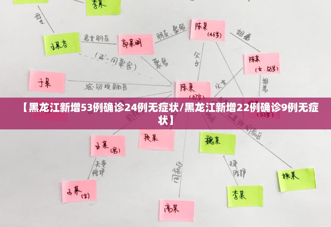 【黑龙江新增53例确诊24例无症状/黑龙江新增22例确诊9例无症状】