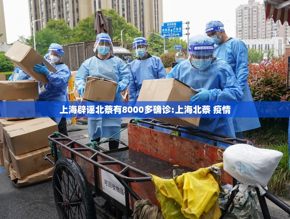 上海辟谣北蔡有8000多确诊:上海北蔡 疫情