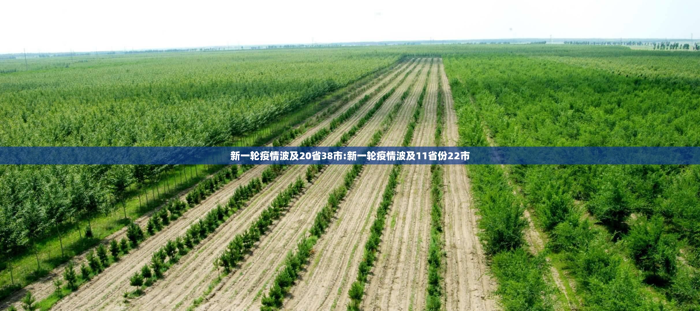 新一轮疫情波及20省38市:新一轮疫情波及11省份22市