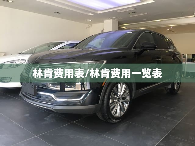 林肯费用表/林肯费用一览表