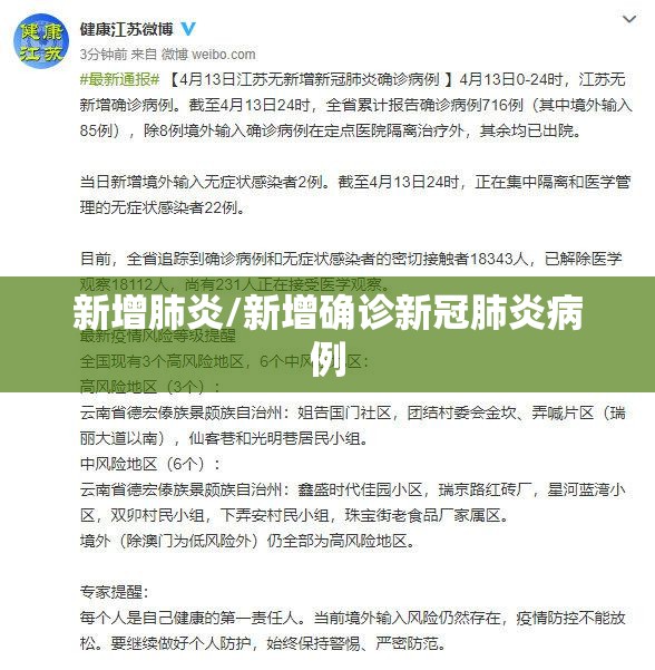 新增肺炎/新增确诊新冠肺炎病例
