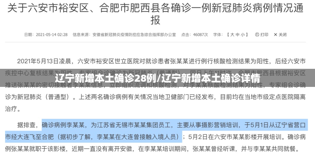 辽宁新增本土确诊28例/辽宁新增本土确诊详情 辽宁新增本土确诊28例/辽宁新增本土确诊详情