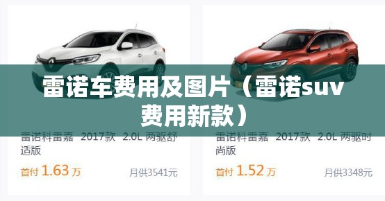 雷诺车费用及图片（雷诺suv费用新款）