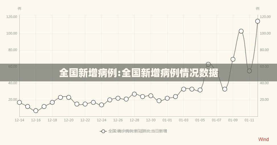 全国新增病例:全国新增病例情况数据 全国新增病例:全国新增病例情况数据