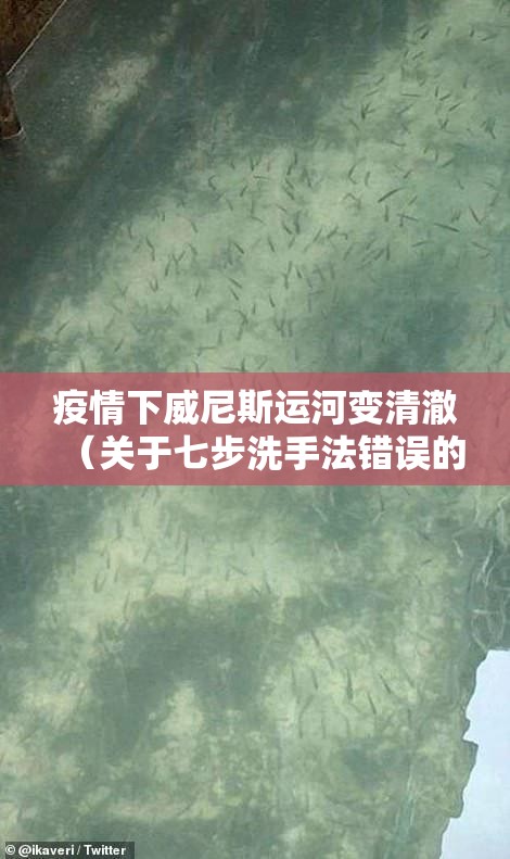 疫情下威尼斯运河变清澈(关于七步洗手法错误的描述是) 疫情下威尼斯运河变清澈(关于七步洗手法错误的描述是)
