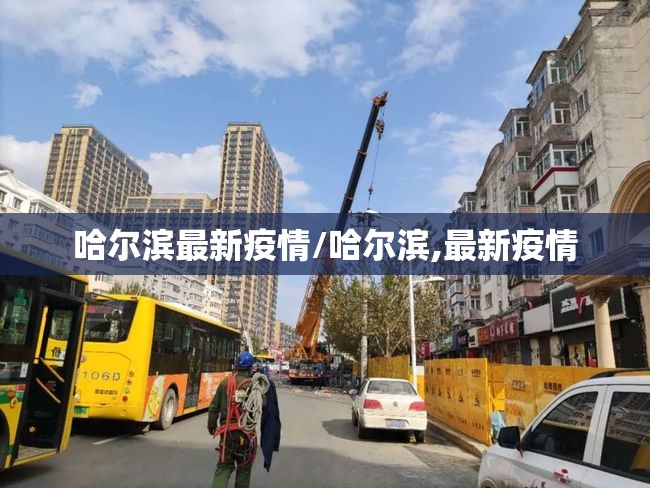 哈尔滨最新疫情/哈尔滨,最新疫情 哈尔滨最新疫情/哈尔滨,最新疫情