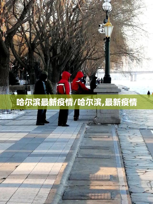 哈尔滨最新疫情/哈尔滨,最新疫情 哈尔滨最新疫情/哈尔滨,最新疫情