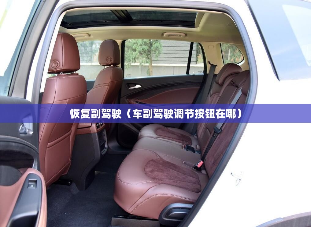 恢复副驾驶（车副驾驶调节按钮在哪）