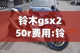 铃木gsx250r费用:铃木gsx250r费用二手费用