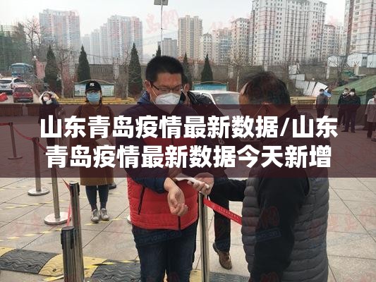山东青岛疫情最新数据/山东青岛疫情最新数据今天新增 山东青岛疫情最新数据/山东青岛疫情最新数据今天新增