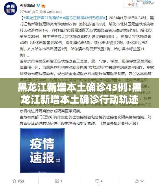 黑龙江新增本土确诊43例:黑龙江新增本土确诊行动轨迹