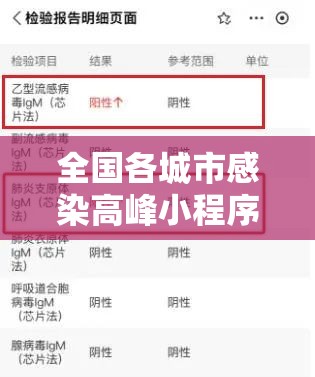 全国各城市感染高峰小程序/全国城市新冠感染排名