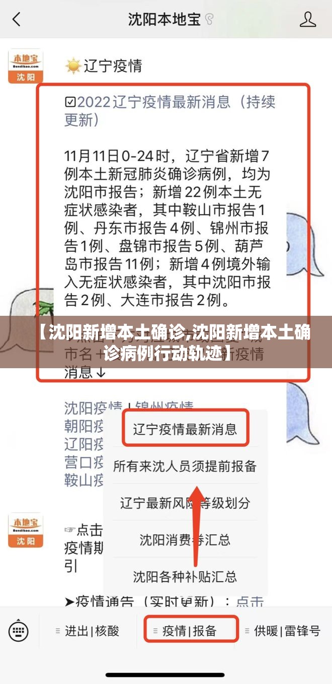 【沈阳新增本土确诊,沈阳新增本土确诊病例行动轨迹】 【沈阳新增本土确诊,沈阳新增本土确诊病例行动轨迹】