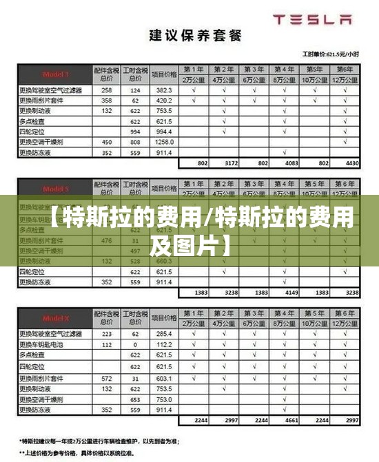 【特斯拉的费用/特斯拉的费用及图片】 【特斯拉的费用/特斯拉的费用及图片】
