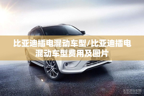 比亚迪插电混动车型/比亚迪插电混动车型费用及图片