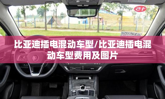 比亚迪插电混动车型/比亚迪插电混动车型费用及图片