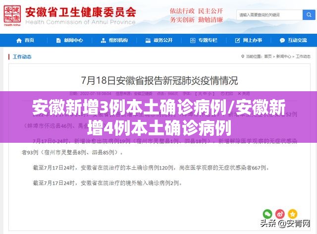 安徽新增3例本土确诊病例/安徽新增4例本土确诊病例 安徽新增3例本土确诊病例/安徽新增4例本土确诊病例