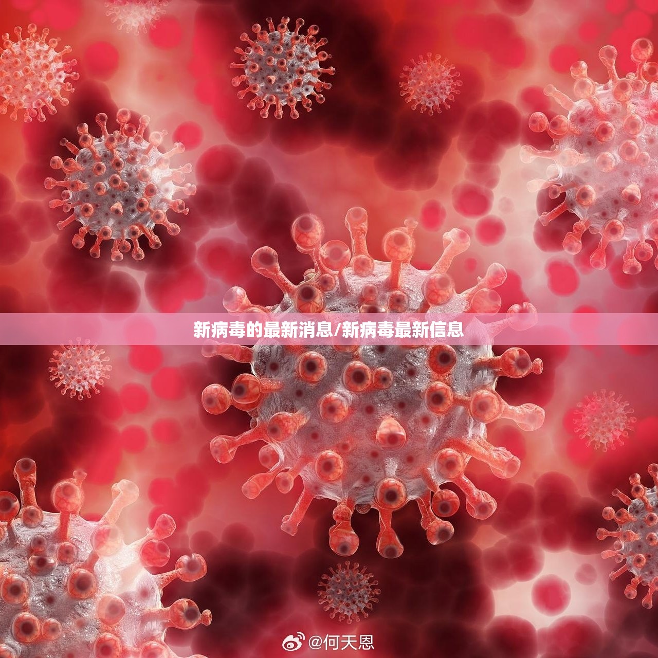 新病毒的最新消息/新病毒最新信息 新病毒的最新消息/新病毒最新信息
