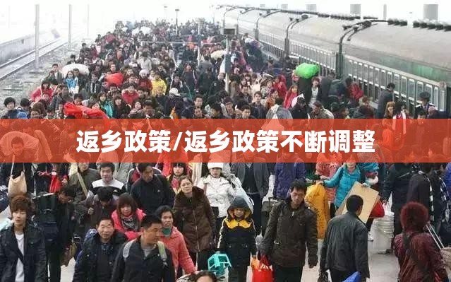 返乡政策/返乡政策不断调整