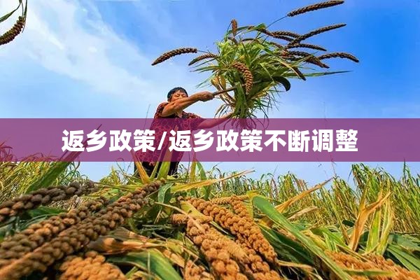 返乡政策/返乡政策不断调整
