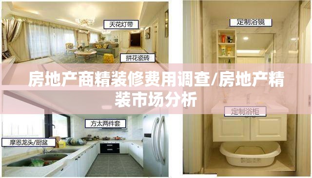 房地产商精装修费用调查/房地产精装市场分析