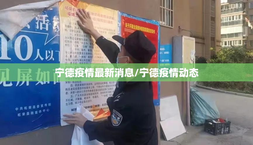 宁德疫情最新消息/宁德疫情动态 宁德疫情最新消息/宁德疫情动态