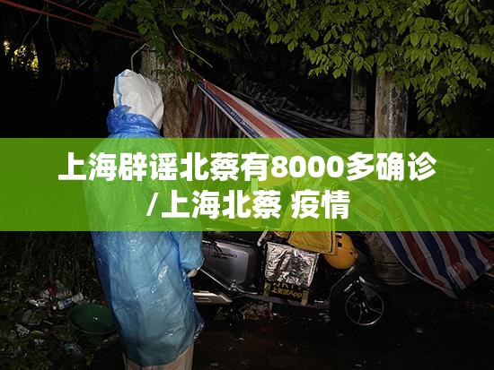 上海辟谣北蔡有8000多确诊/上海北蔡 疫情 上海辟谣北蔡有8000多确诊/上海北蔡 疫情