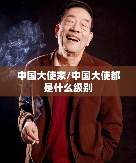中国大使家/中国大使都是什么级别 中国大使家/中国大使都是什么级别