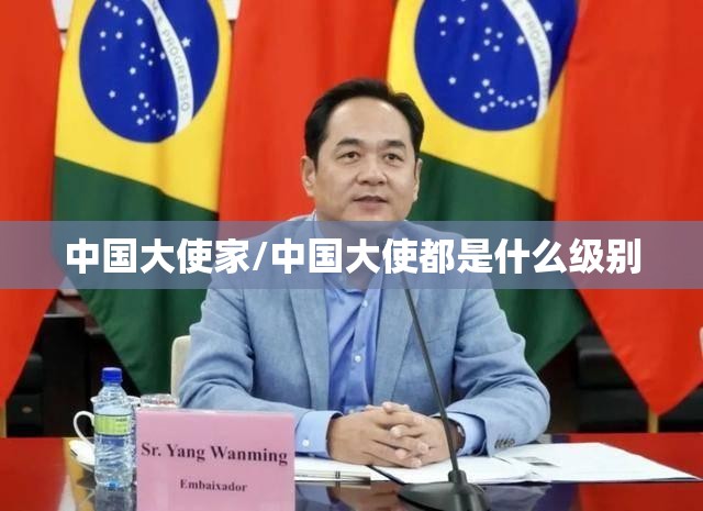 中国大使家/中国大使都是什么级别 中国大使家/中国大使都是什么级别