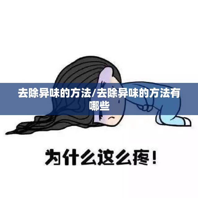 去除异味的方法/去除异味的方法有哪些 去除异味的方法/去除异味的方法有哪些