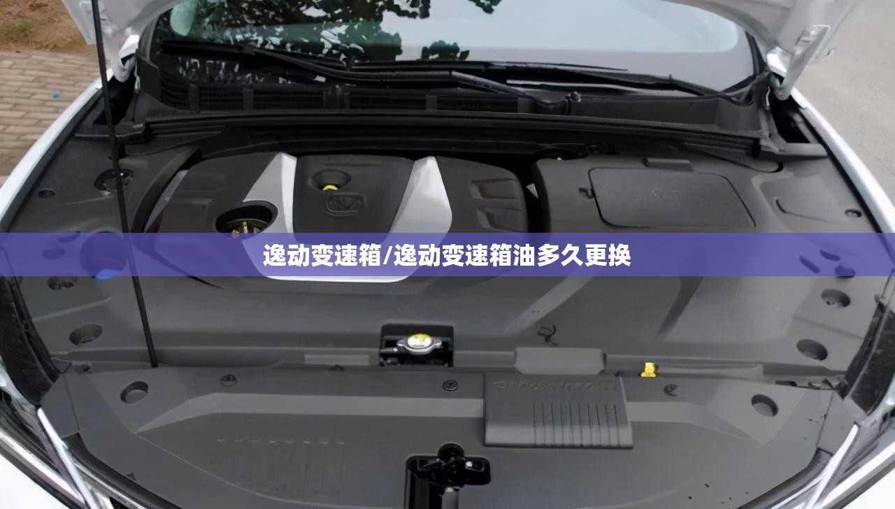 逸动变速箱/逸动变速箱油多久更换