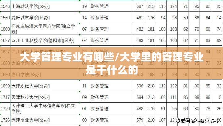 大学管理专业有哪些/大学里的管理专业是干什么的