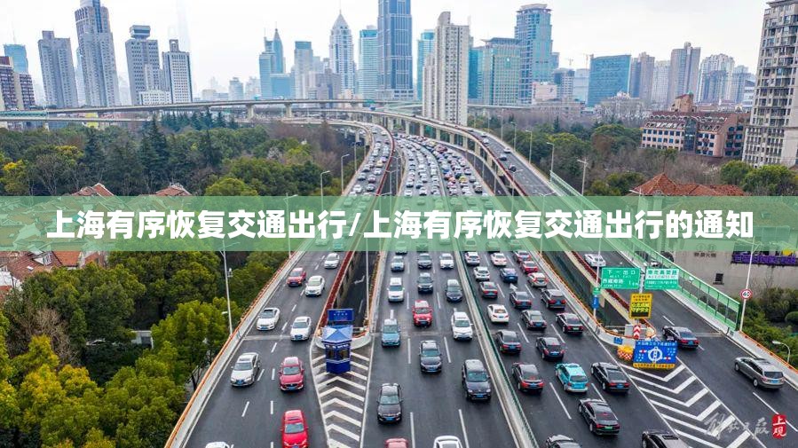 上海有序恢复交通出行/上海有序恢复交通出行的通知 上海有序恢复交通出行/上海有序恢复交通出行的通知