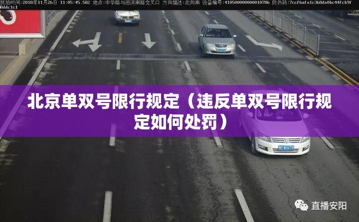 北京单双号限行规定（违反单双号限行规定如何处罚）