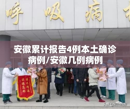 安徽累计报告4例本土确诊病例/安徽几例病例 安徽累计报告4例本土确诊病例/安徽几例病例