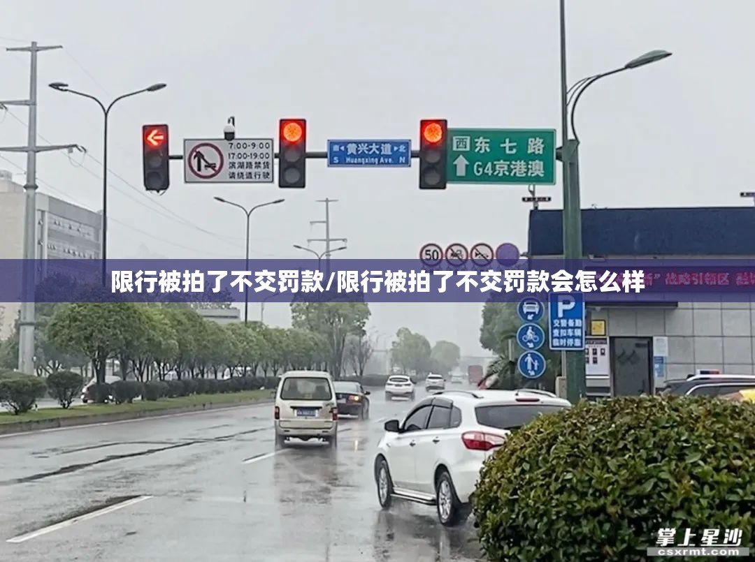 限行被拍了不交罚款/限行被拍了不交罚款会怎么样 限行被拍了不交罚款/限行被拍了不交罚款会怎么样