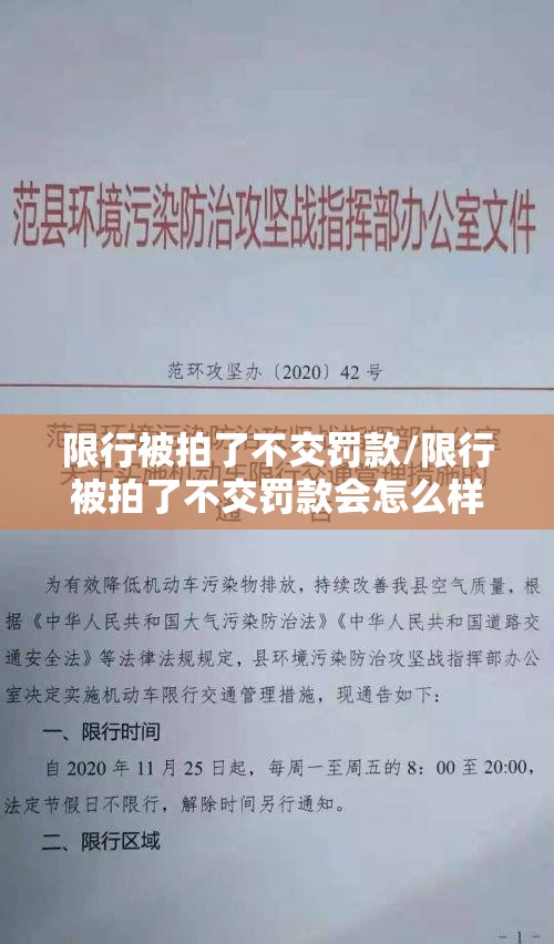 限行被拍了不交罚款/限行被拍了不交罚款会怎么样 限行被拍了不交罚款/限行被拍了不交罚款会怎么样