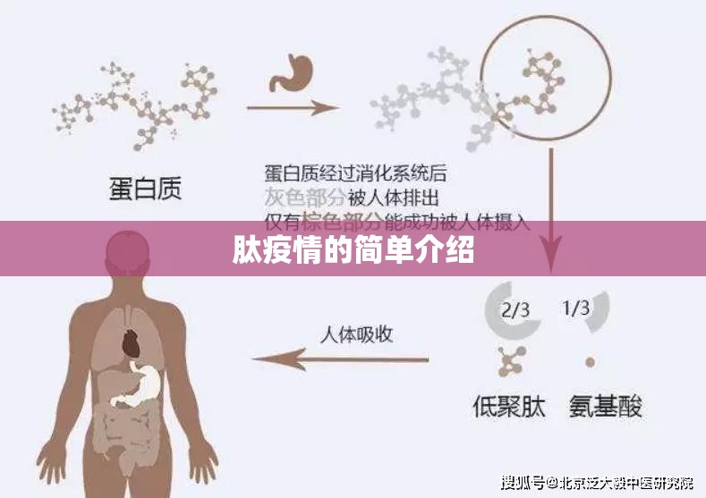 肽疫情的简单介绍