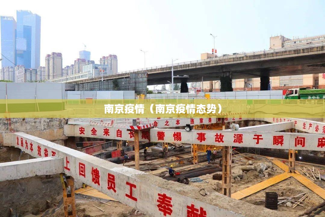 南京疫情(南京疫情态势) 南京疫情(南京疫情态势)