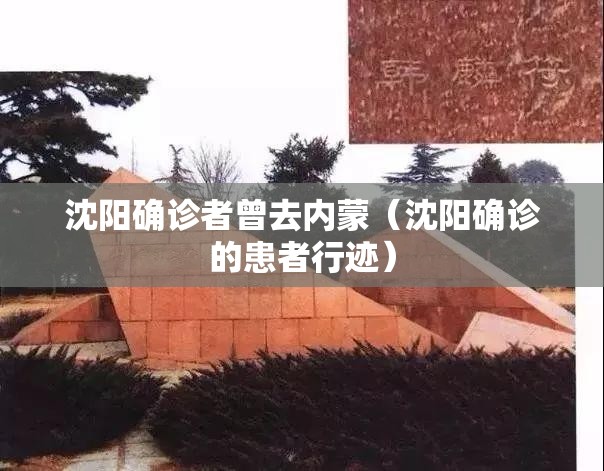 沈阳确诊者曾去内蒙(沈阳确诊的患者行迹) 沈阳确诊者曾去内蒙(沈阳确诊的患者行迹)
